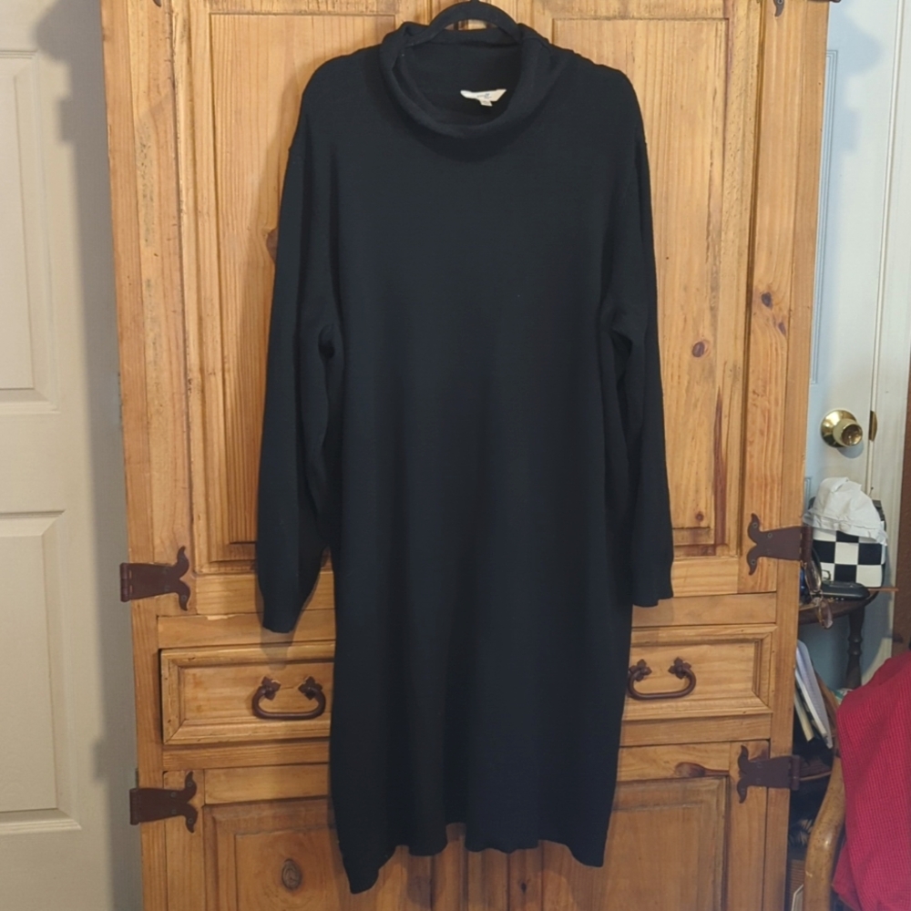 Turtleneck sweater dress